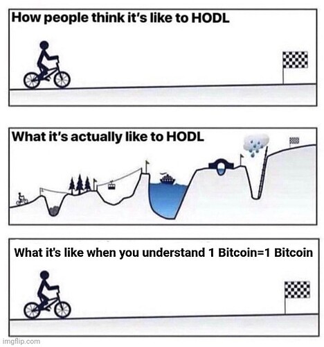 Meme   1 BTC is 1 BTC