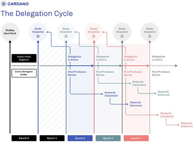 cardano_delegation_cycle