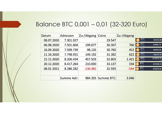 Bitcoin Rich List 2020-2021_01-003