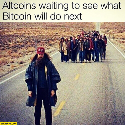 altcoins-waiting-to-see-what-bitcoin-will-do-next1