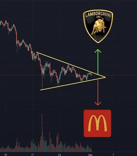 MEME  Lambo vs McDonalds