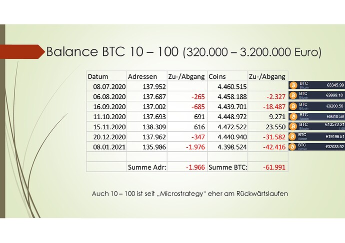Bitcoin Rich List 2020-2021_01-007