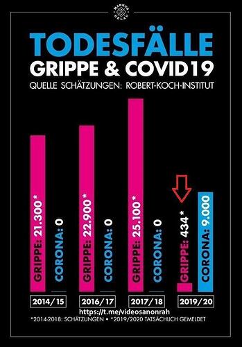 photo_2020-07-21_12-29-05