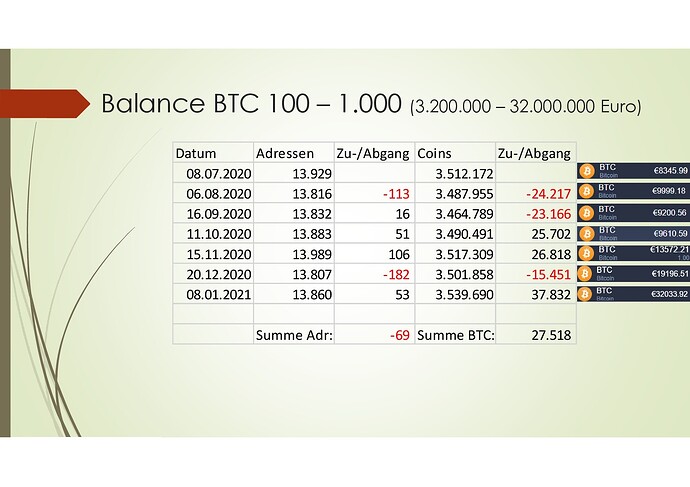 Bitcoin Rich List 2020-2021_01-008