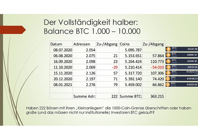 Bitcoin Rich List 2020-2021_01-009