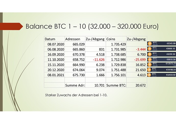 Bitcoin Rich List 2020-2021_01-006