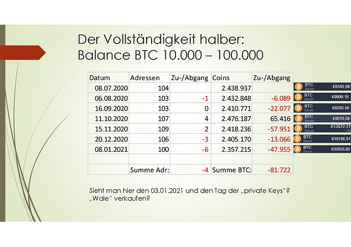 Bitcoin Rich List 2020-2021_01-010