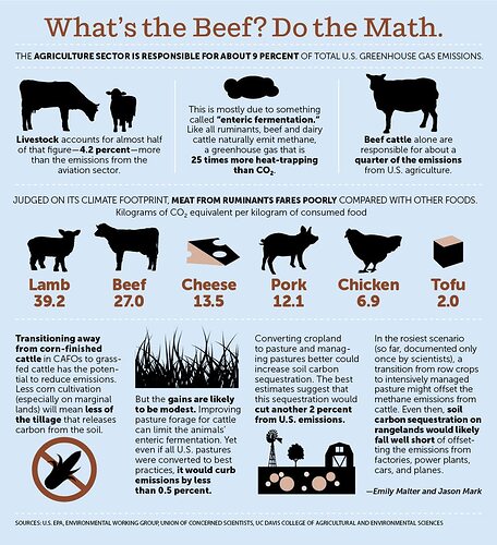 SMMA17_Cows_graphic_0