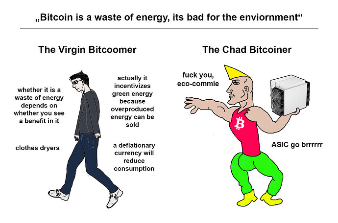 Virgin vs Chad Bitcoiner