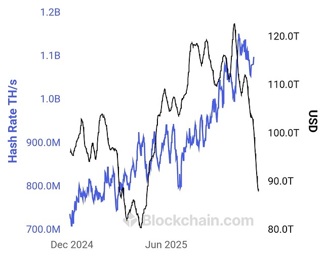 Screenshot_20251126_191936_DuckDuckGo