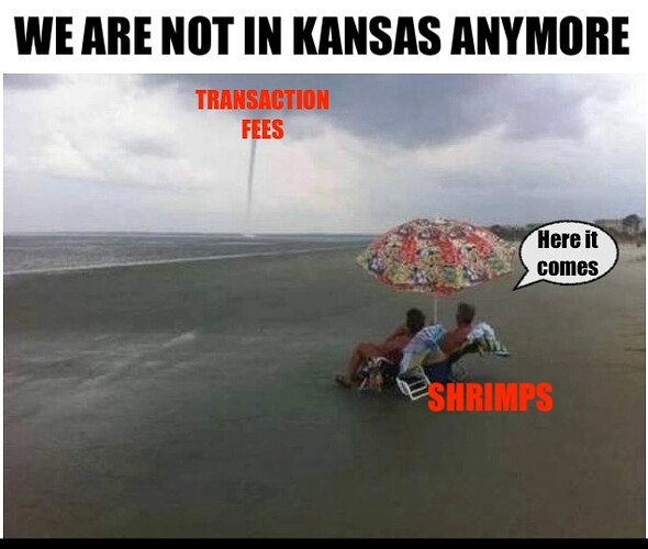 Bild 17.12.23 um 13.26