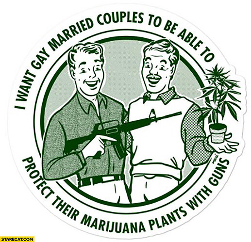 i-want-gay-married-couples-to-be-able-to-protect-their-marijuana-plants-with-guns-badge-902702711