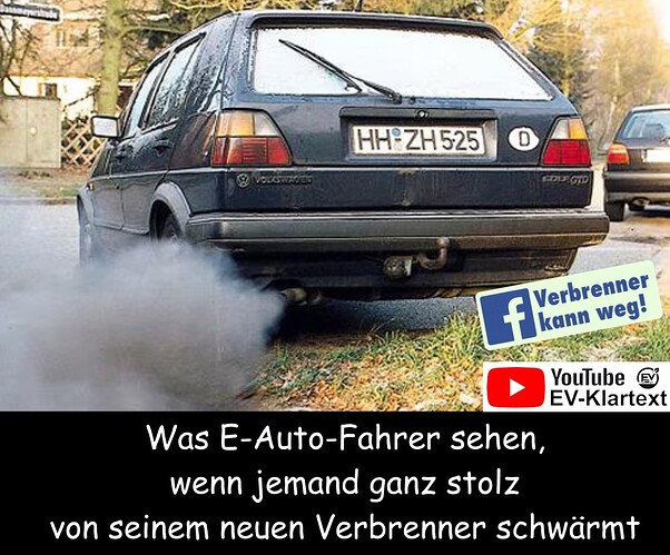 verbrenner schwärmen