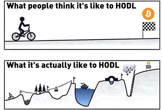 hodl_Nd2k