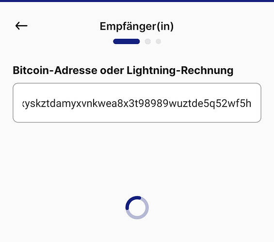 2024-04-25 Relai LNBTC endless loading