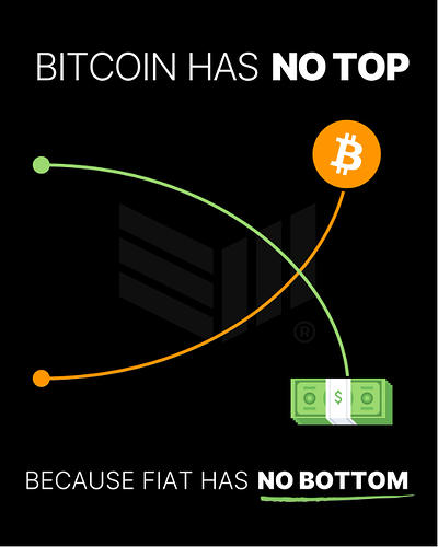 Bitcoin has no top