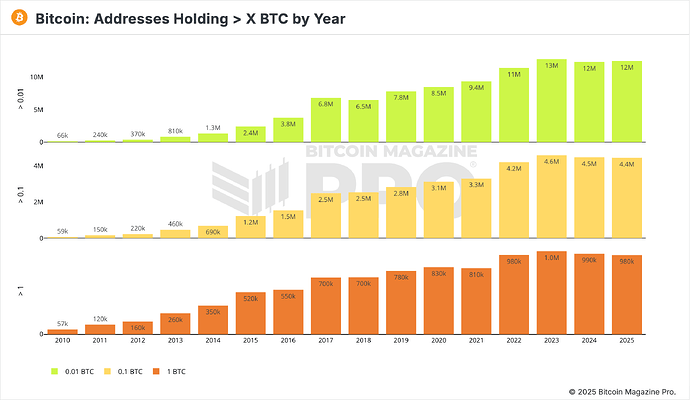 BM Pro - Addresses Holding X BTC