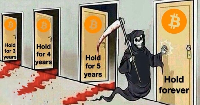 5273803855185517600
