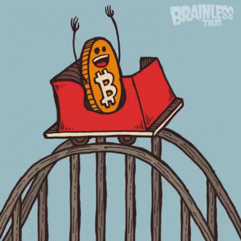 rollercoaster-bitcoin