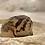 froschalarm