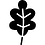 Oak Oak